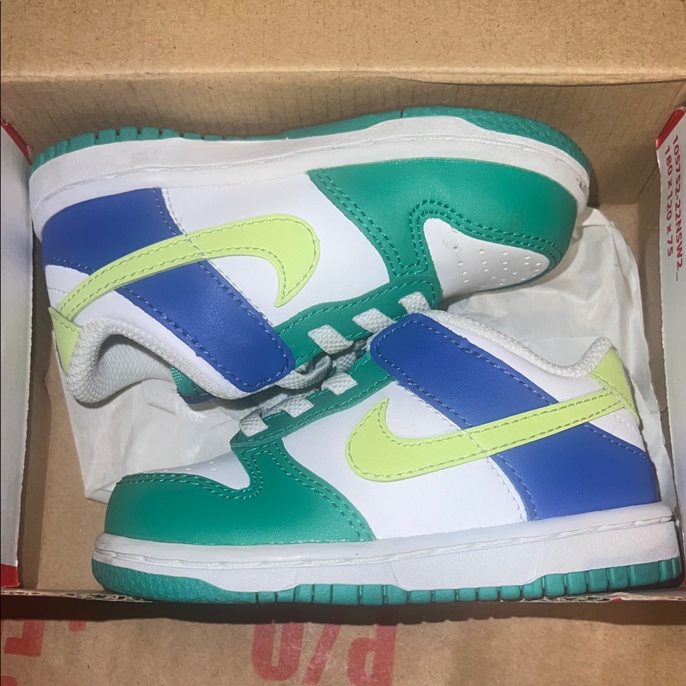 Toddler Nike Dunks
